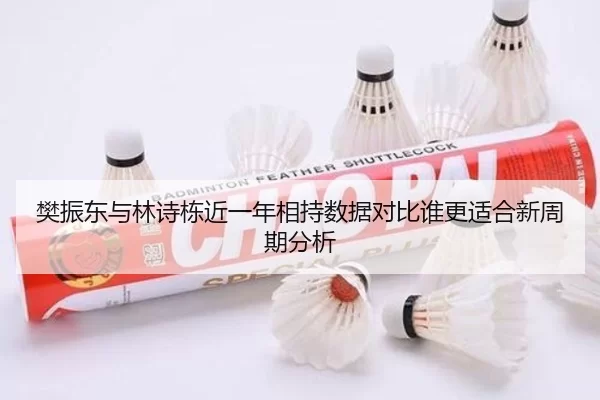 樊振东与林诗栋近一年相持数据对比谁更适合新周期分析